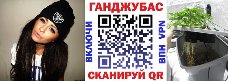 МАРИХУАНА сатива Игра